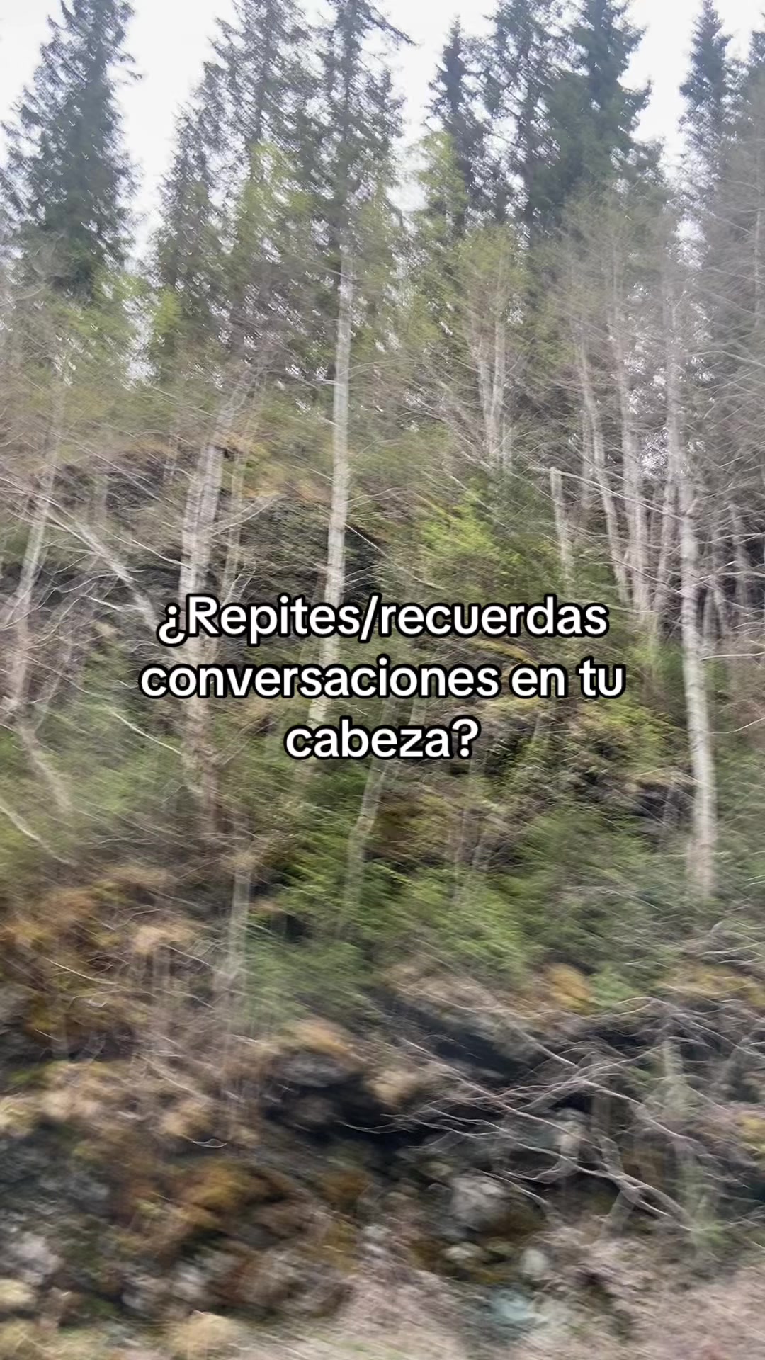 @Ana Garla
