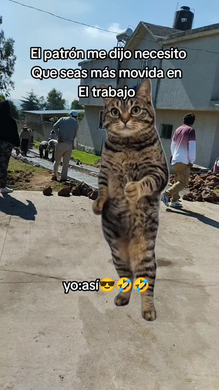 @DaYisLuka