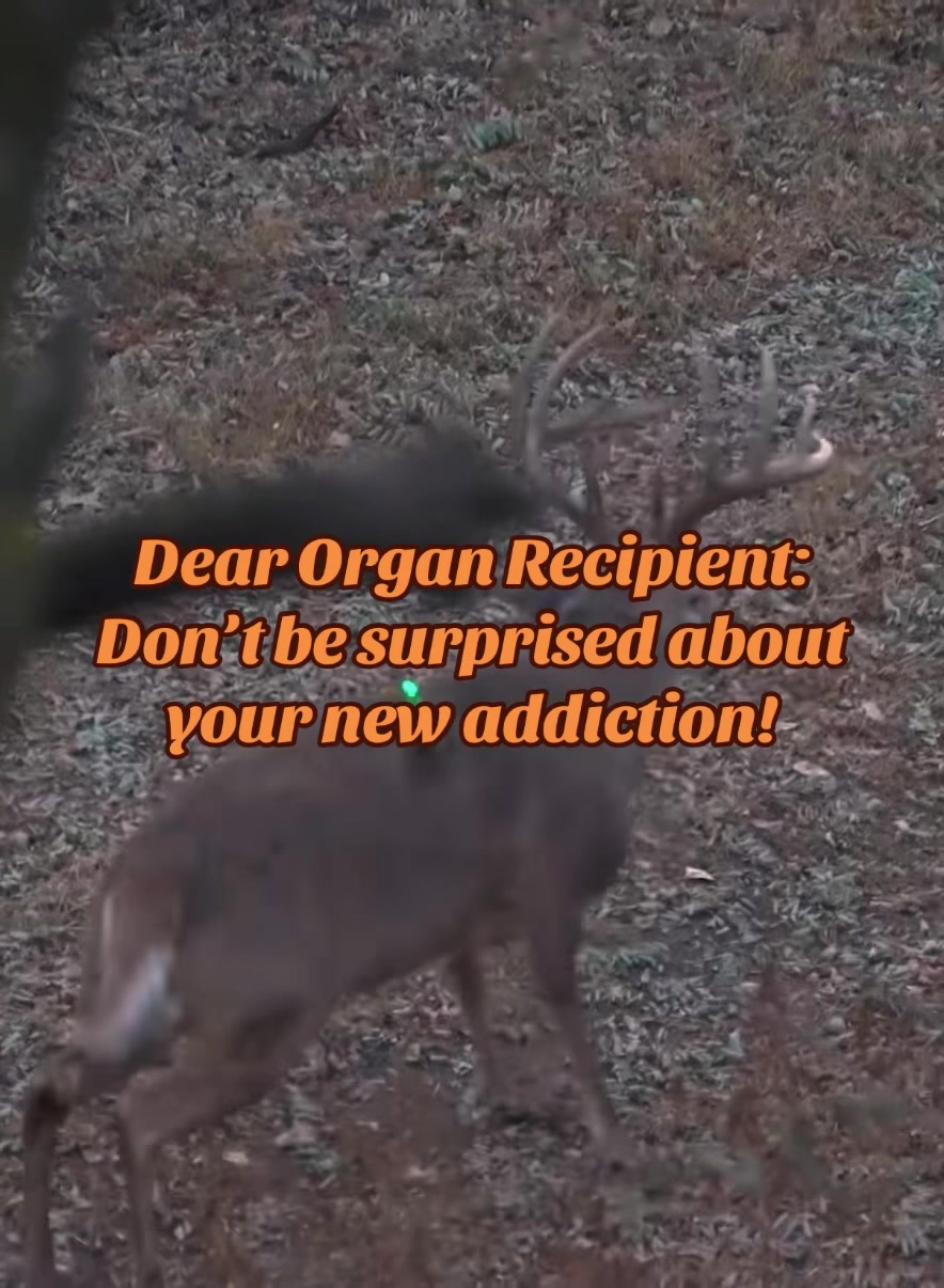 @🦌 Megabucks Outdoors 🦌