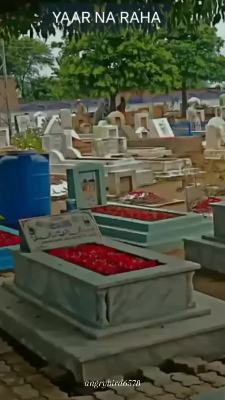 @💞حیاتی بھیا|||||||💞