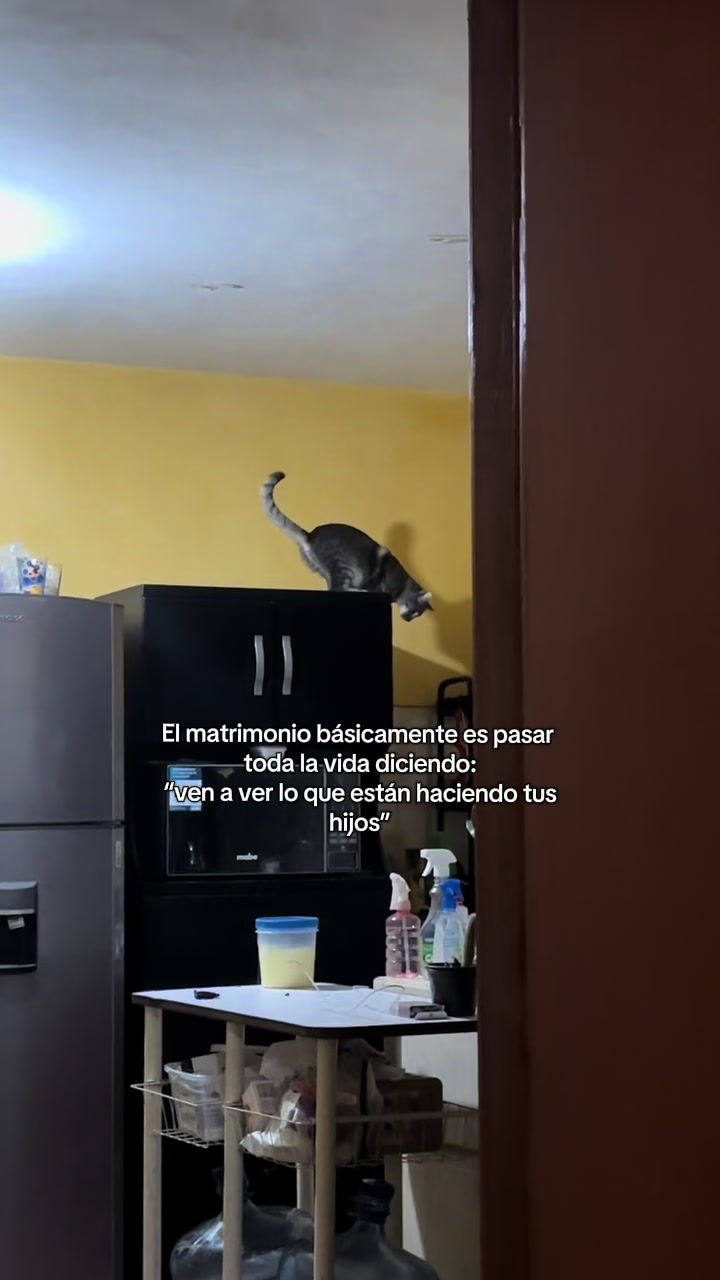 @liz_arteag