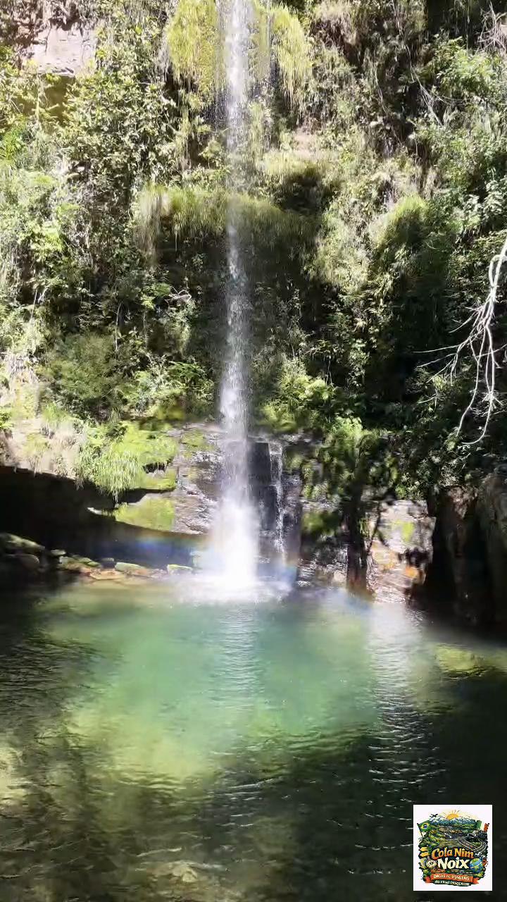 @colanimnoix