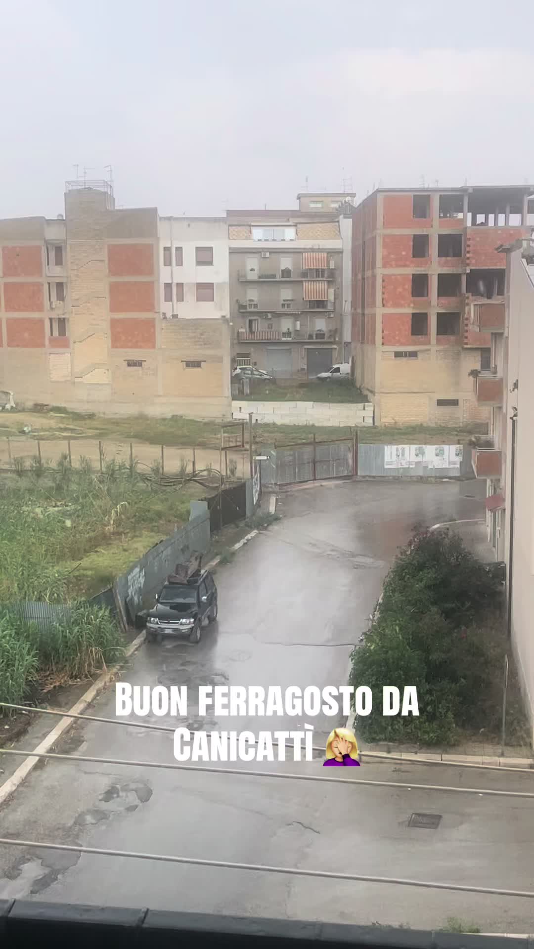 @Ilona Nicitra