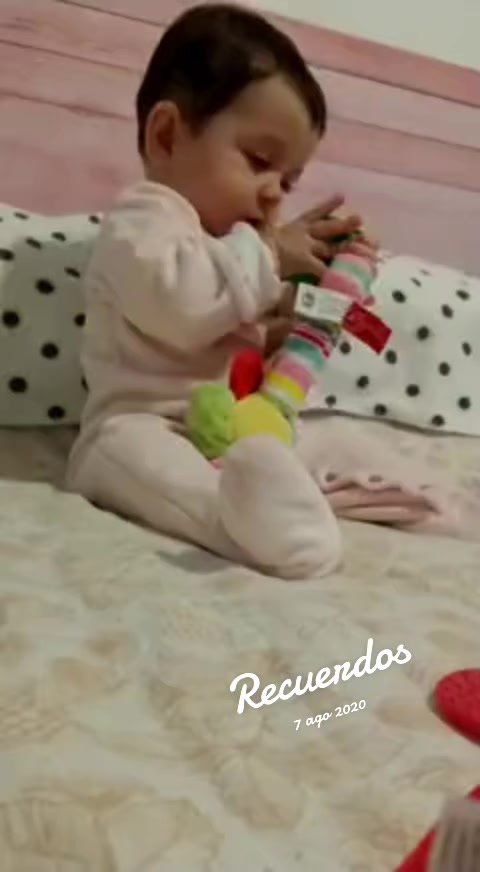 @Belara Yanez/ Periodista