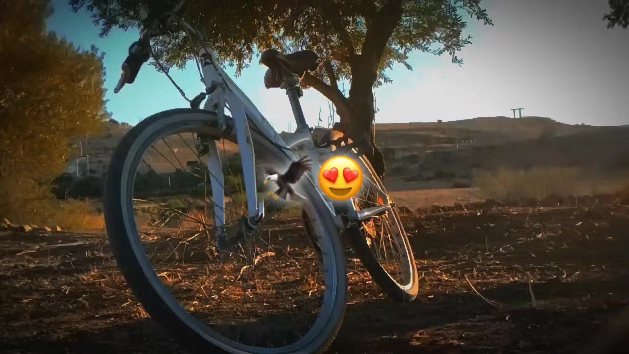 @𝑩𝒐𝒃𝒂🦁🇫🇷❤