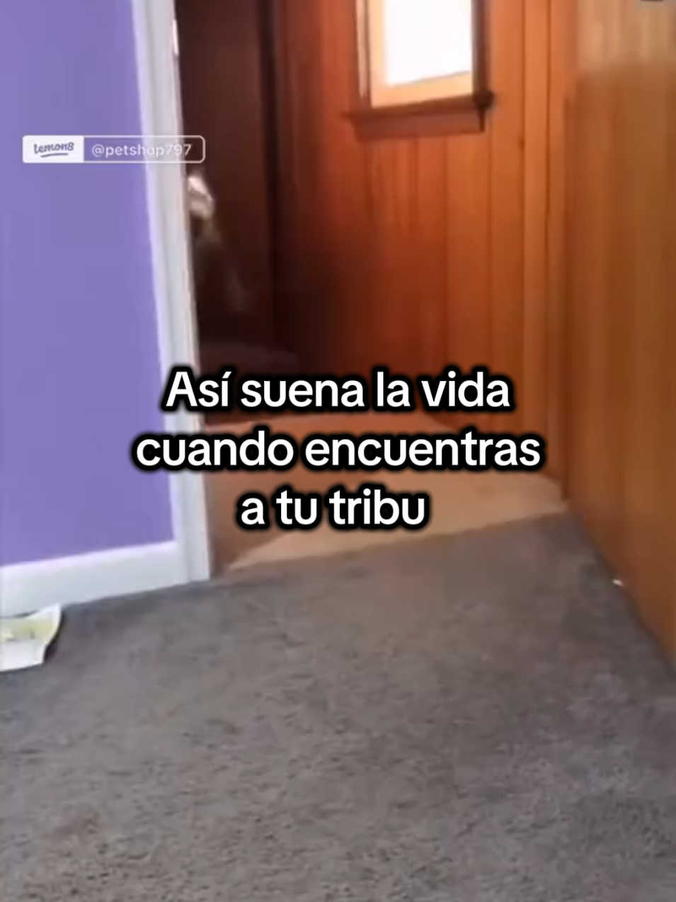 @Roger Sendis