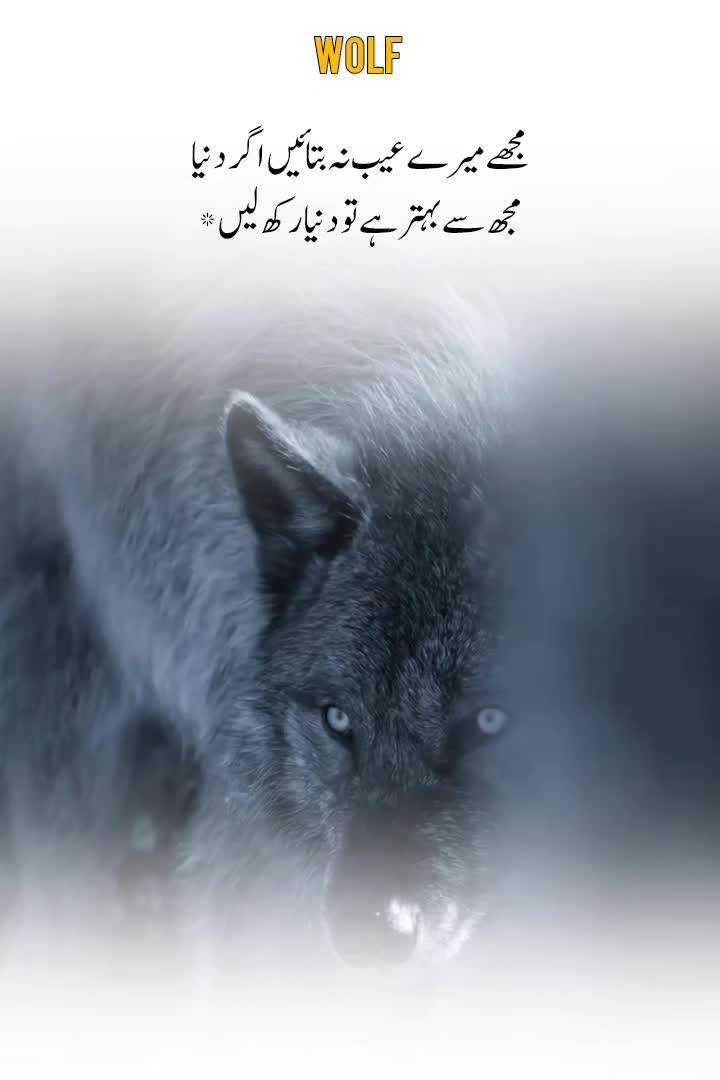 @Wolf ๐บ