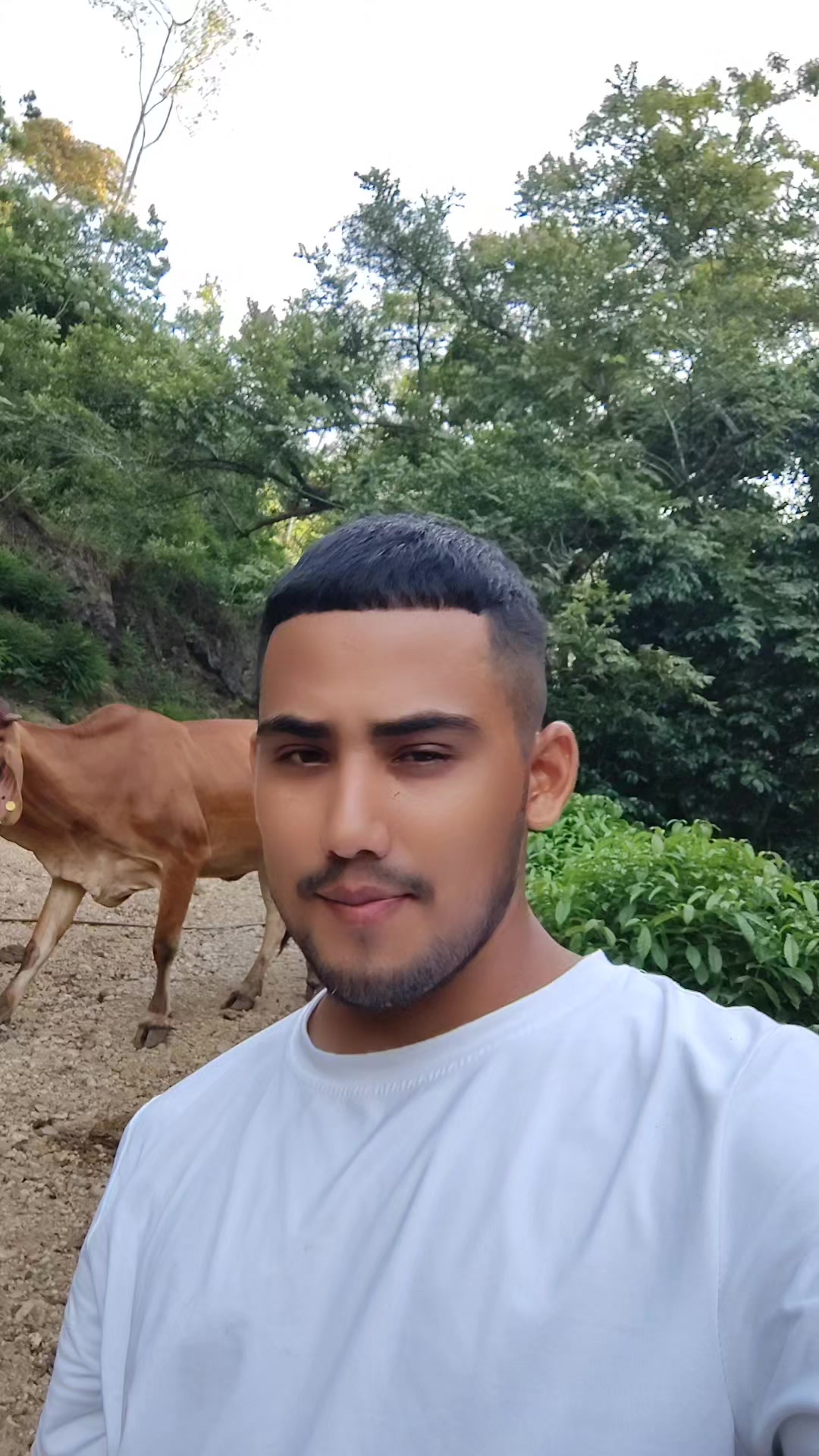 @Daniel Mejía