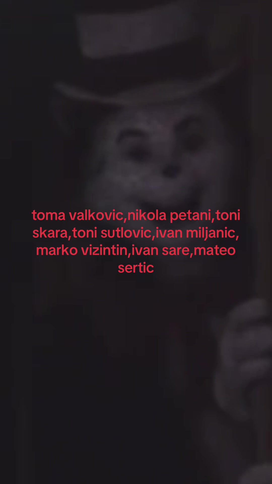 @oskk tracevi
