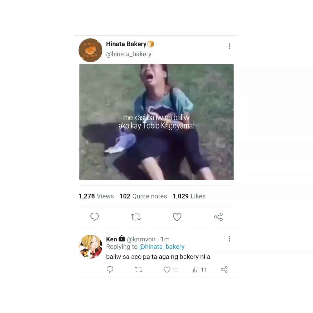 @Quin
