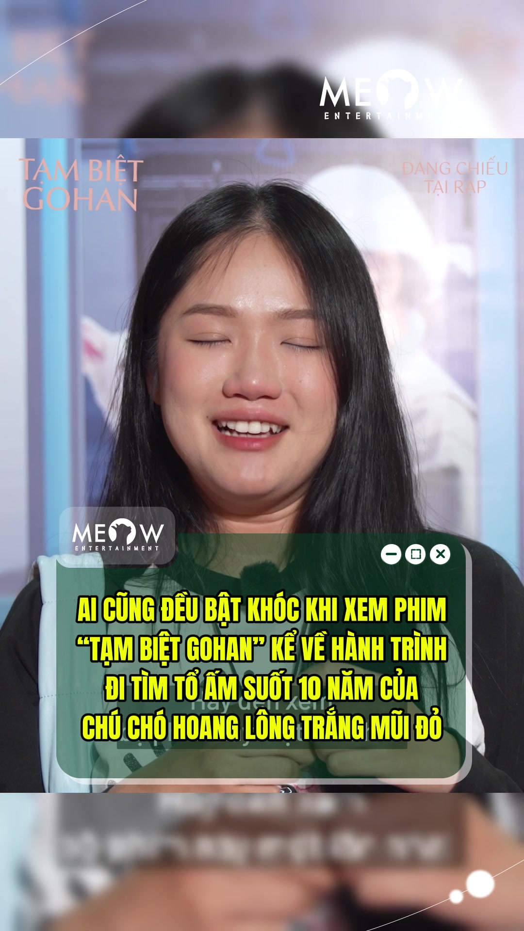@MEOW ENTERTAINMENT