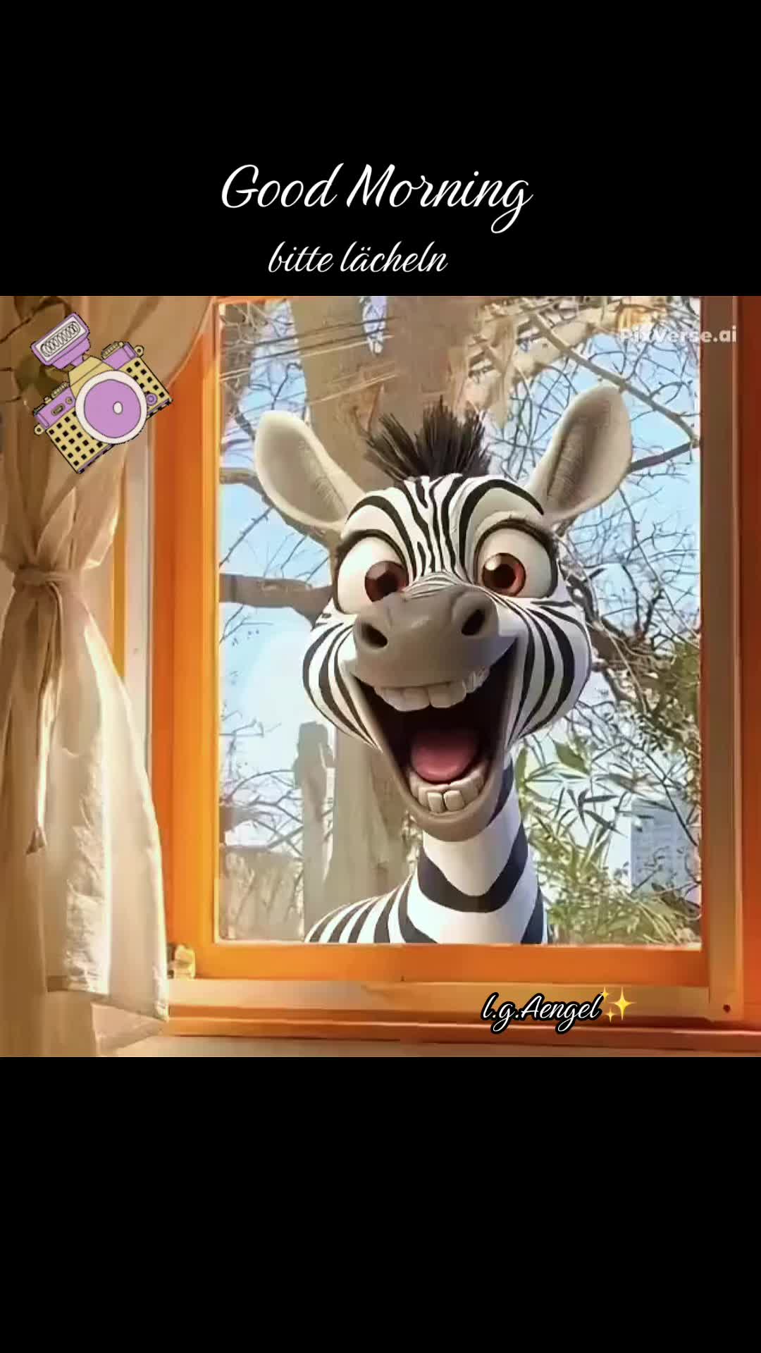 @Aengel1.1