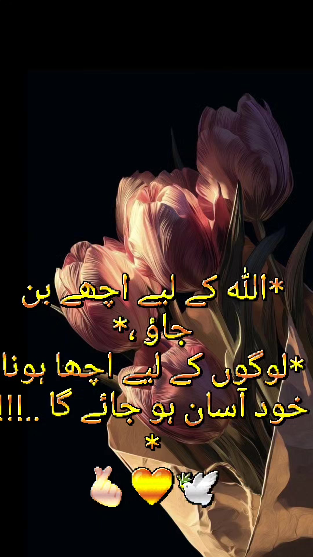 @At!f✍️