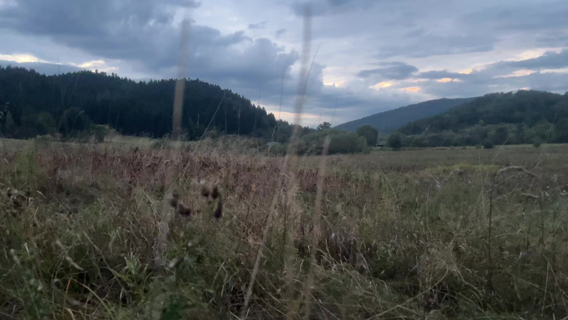 @🌲1𝔰𝔥𝔢𝔱𝔰1🌲