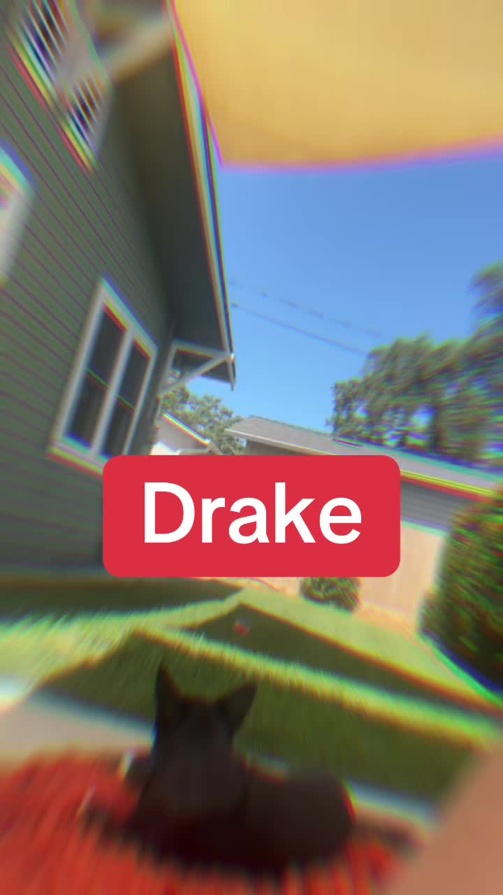 @d🔥🦅