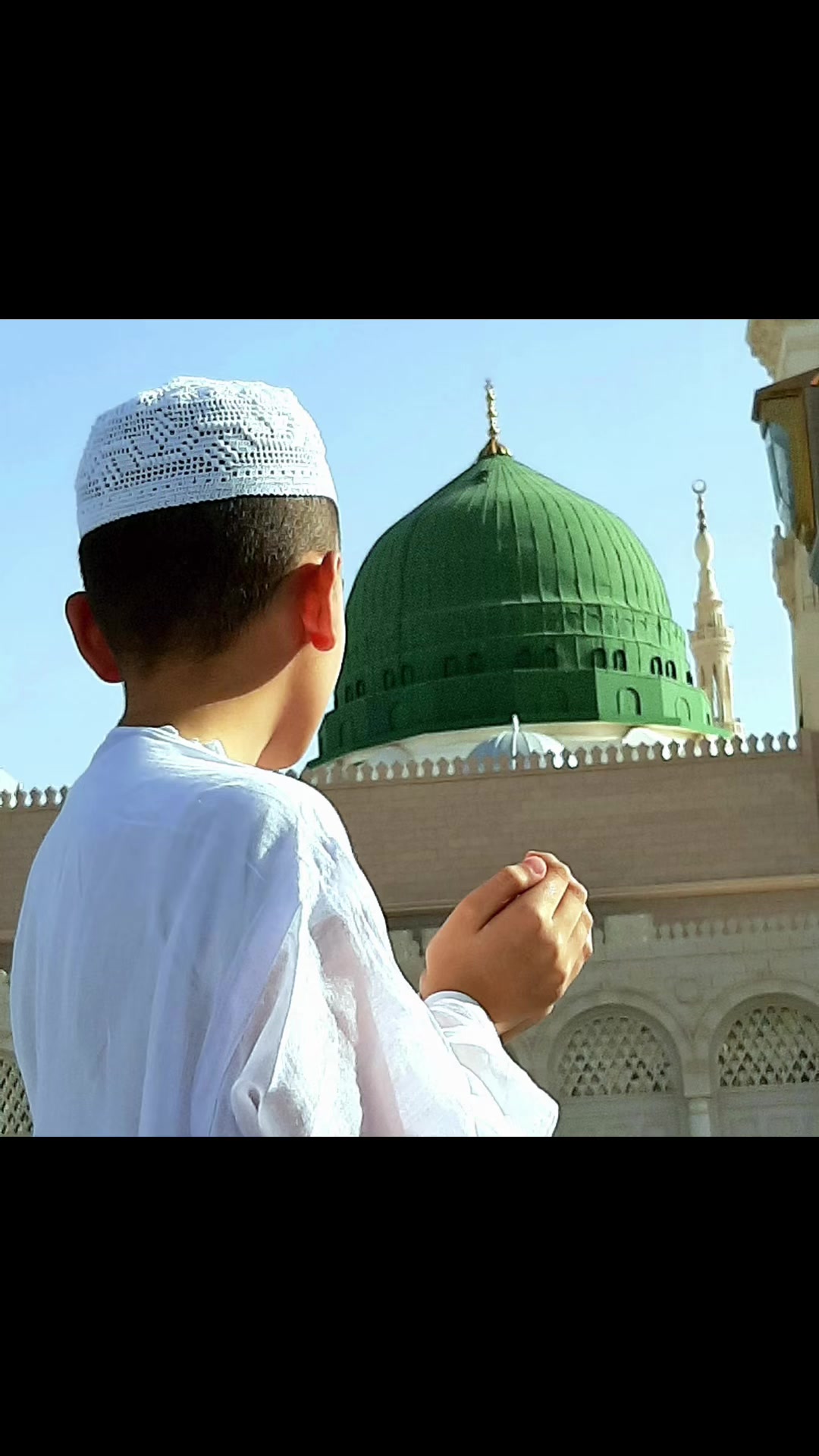 @شہزادہ امیرملت