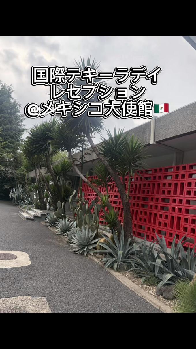 @🥂みきてぃー🍷
