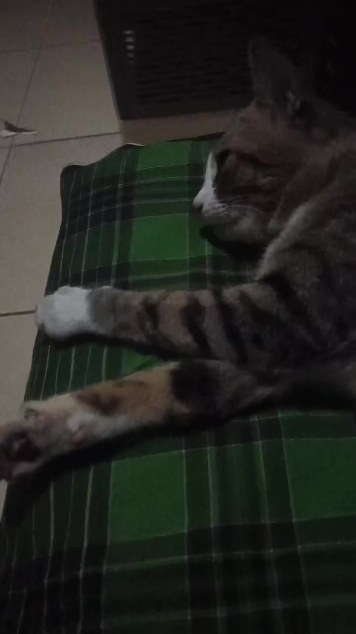 @pratama
