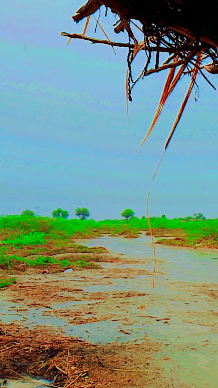 @꧁ مولچند مکواٹا 𝑀𝐾꧂