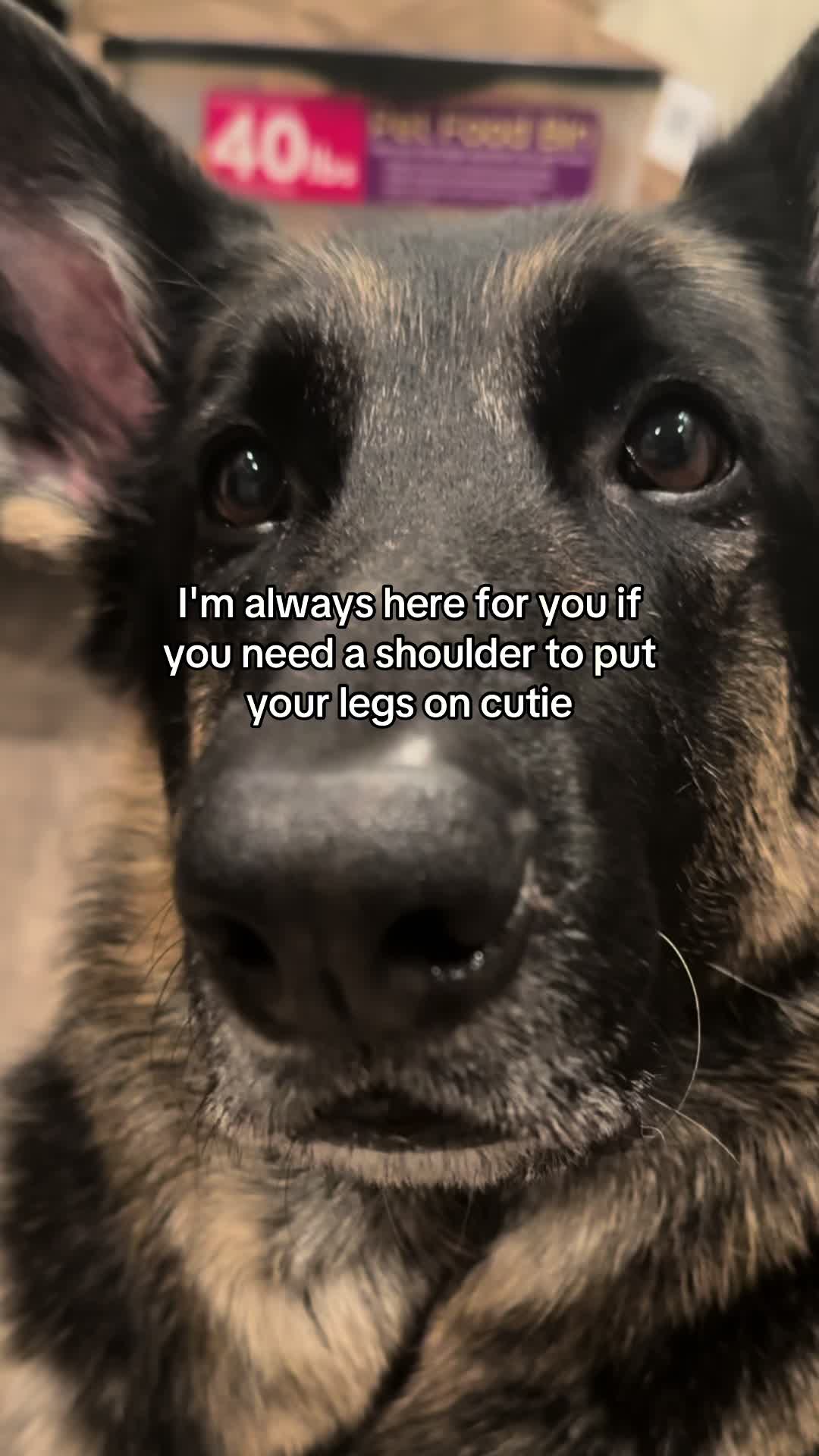 @Bhris