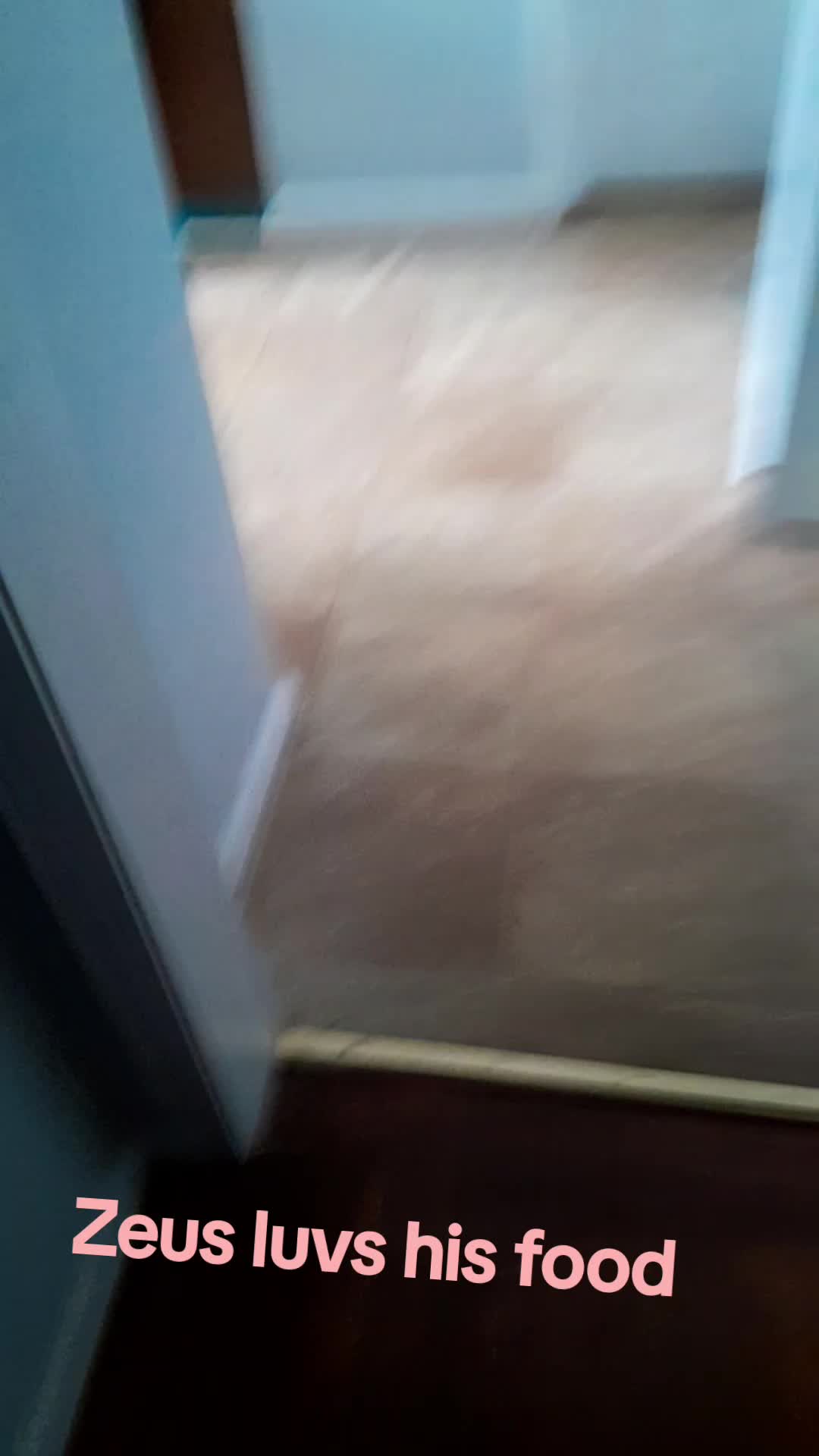 @Ďřɛªđĥɛªđ⁴²⁰