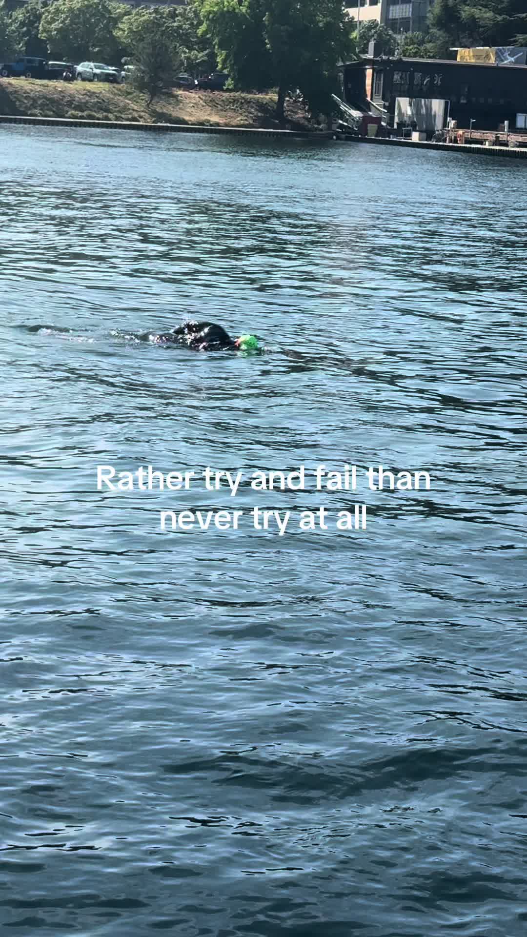 @Papa