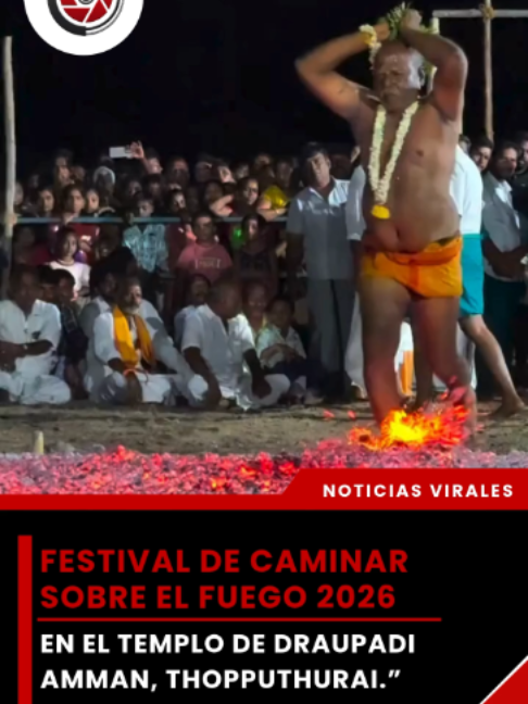 @elveedordigital