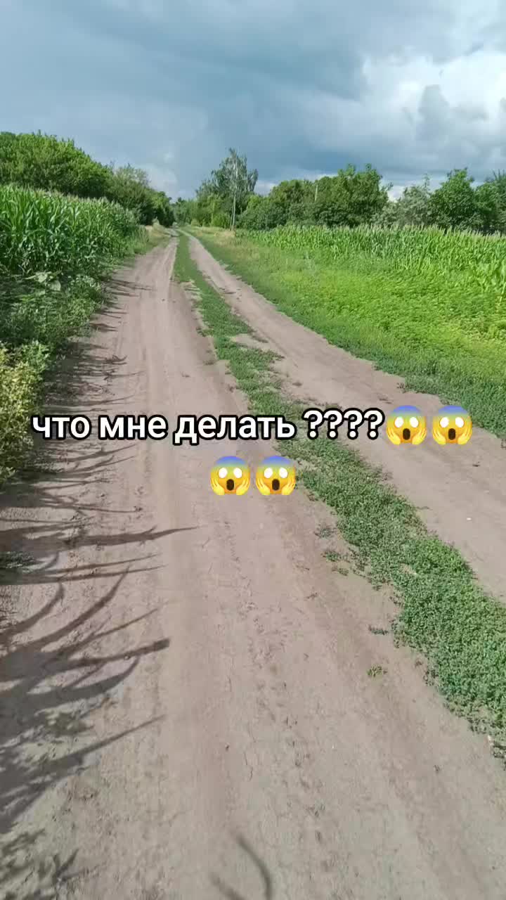 @тгк: домик чарли 💋