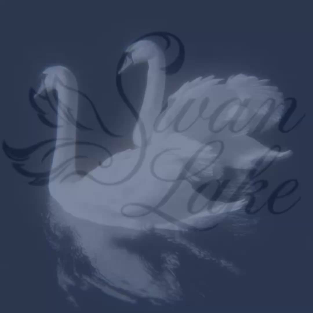 @Swan Lake 🦢