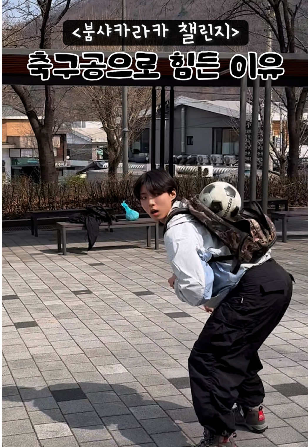 @또호 DDO_HO