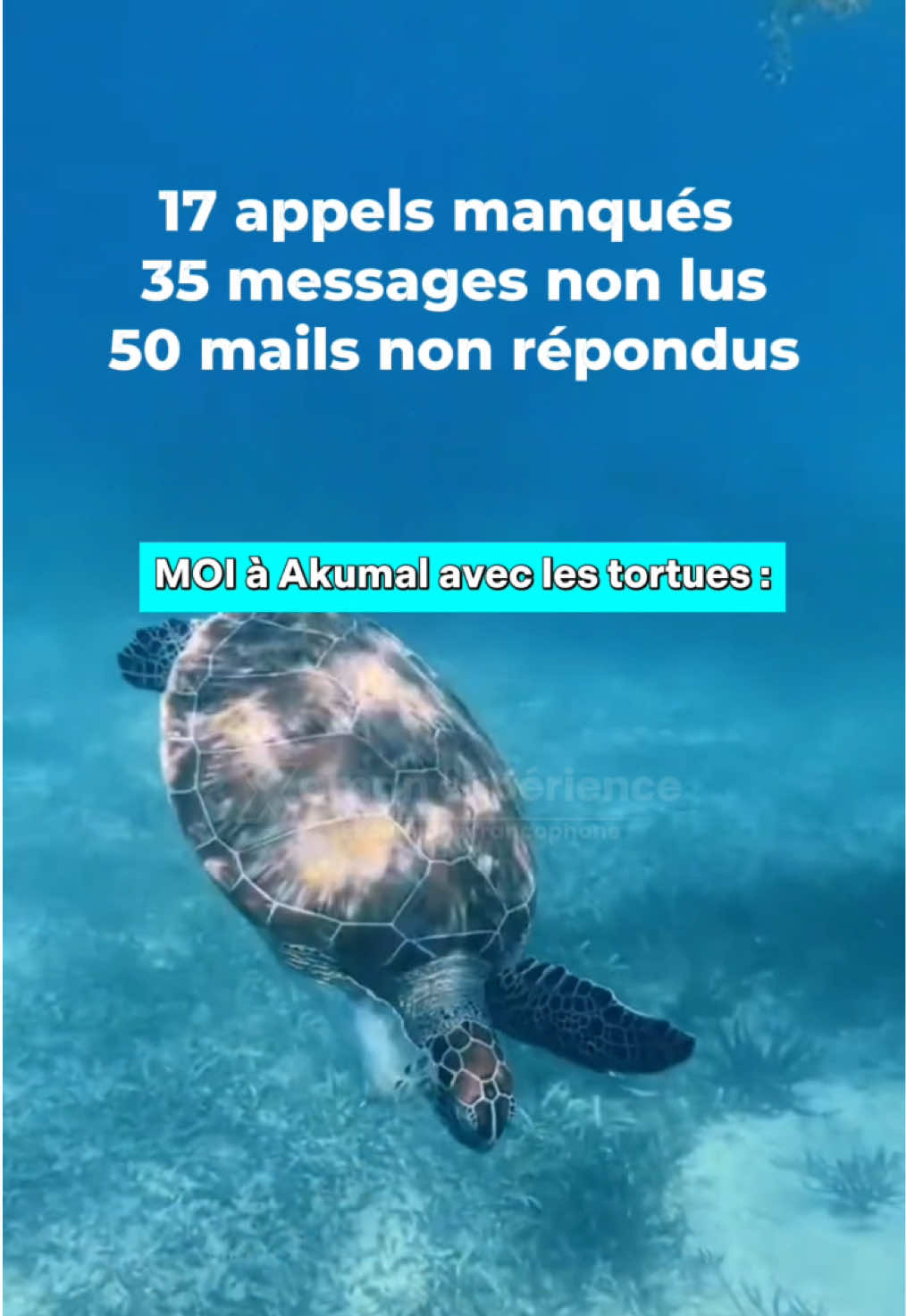 @xamanexperience