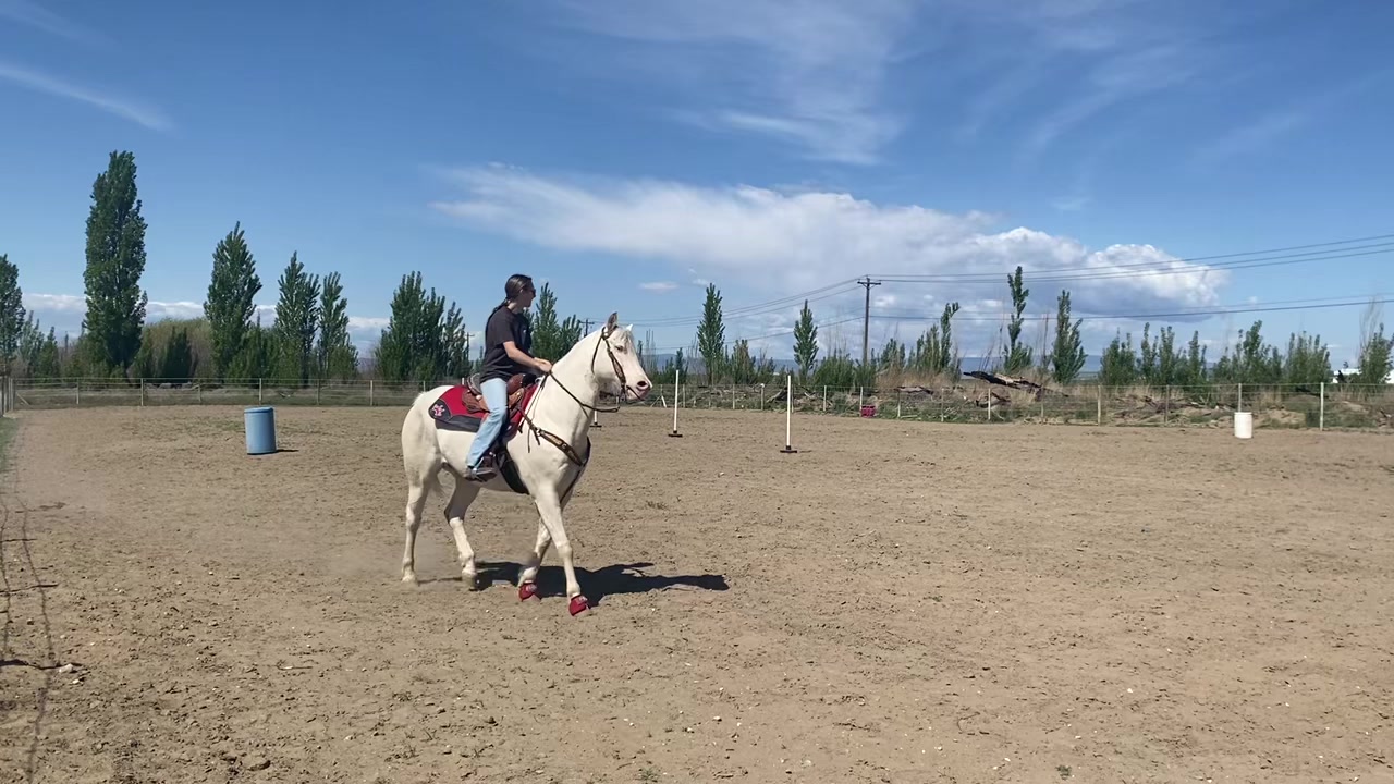 @🐴equestrian🐴