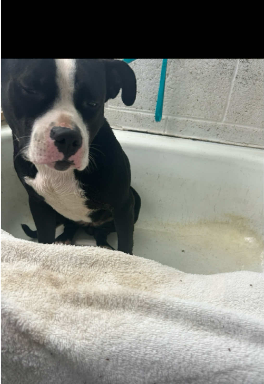 @danilc614🐾