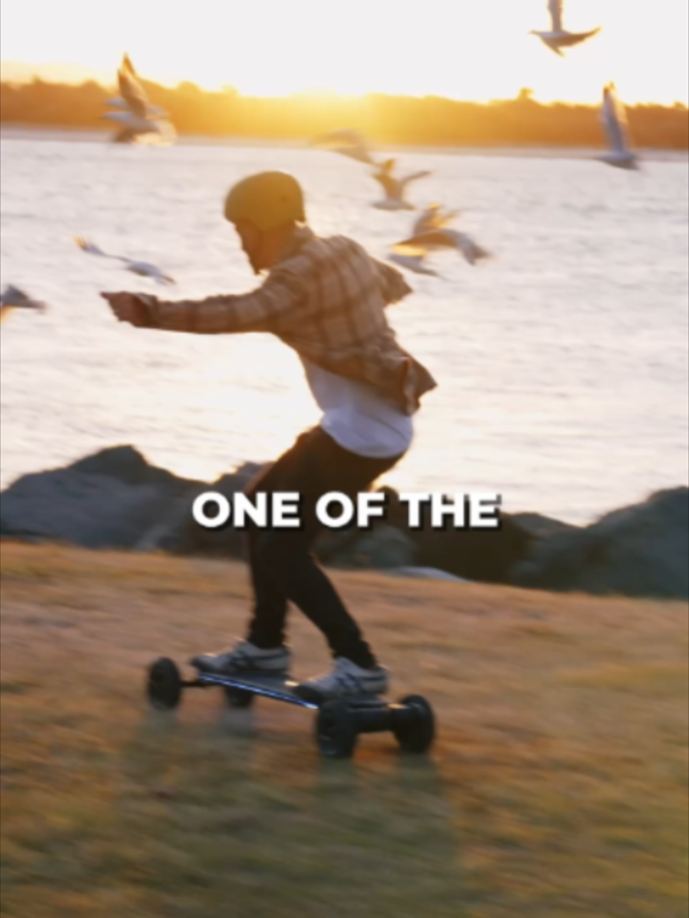 @Evolve Skateboards