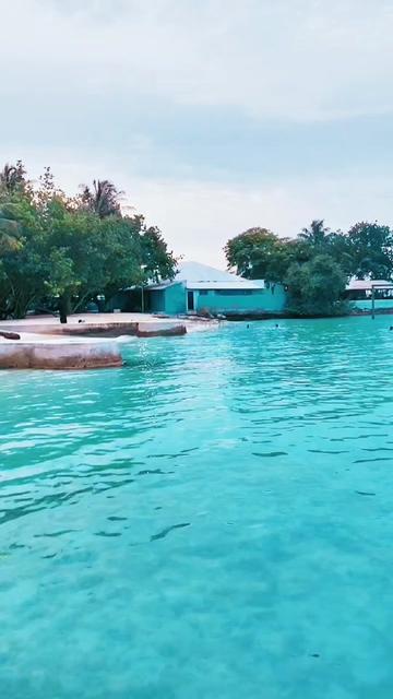 @♡ চকলেট 𝙗𝙤𝙮♡①⁴³🇧🇩🇲🇻