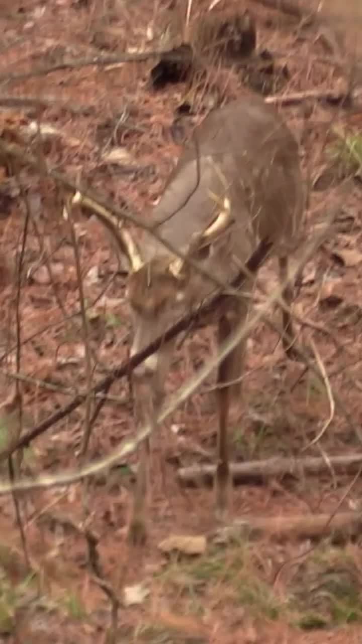 @Buckmasters Outdoors