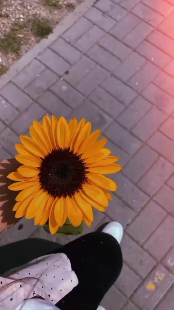 @Mira