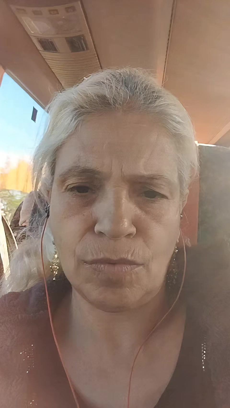 @papatya
