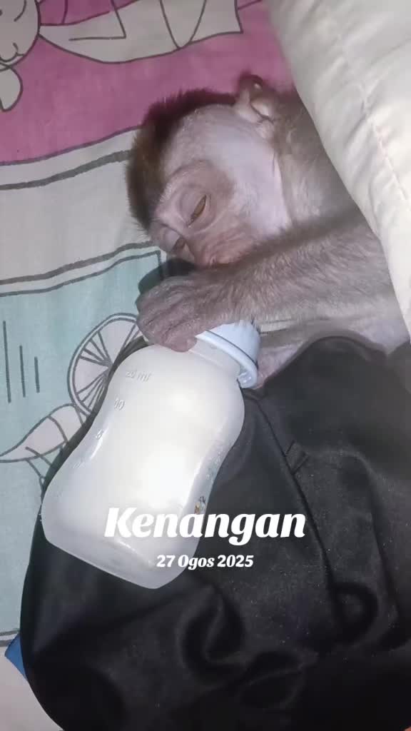 @DAK_RANTAU