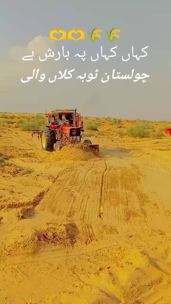 @M Afzal Solgi 83