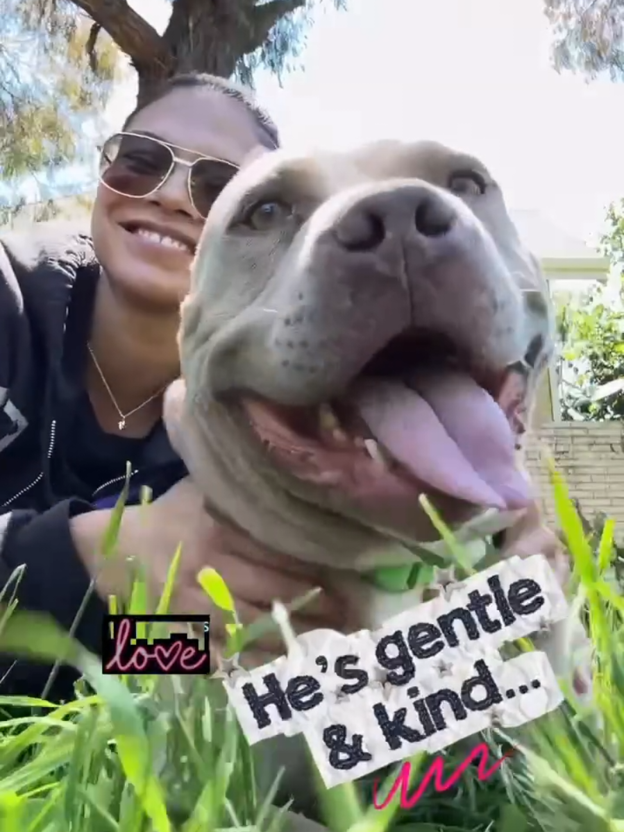 @Oakland Animal Services