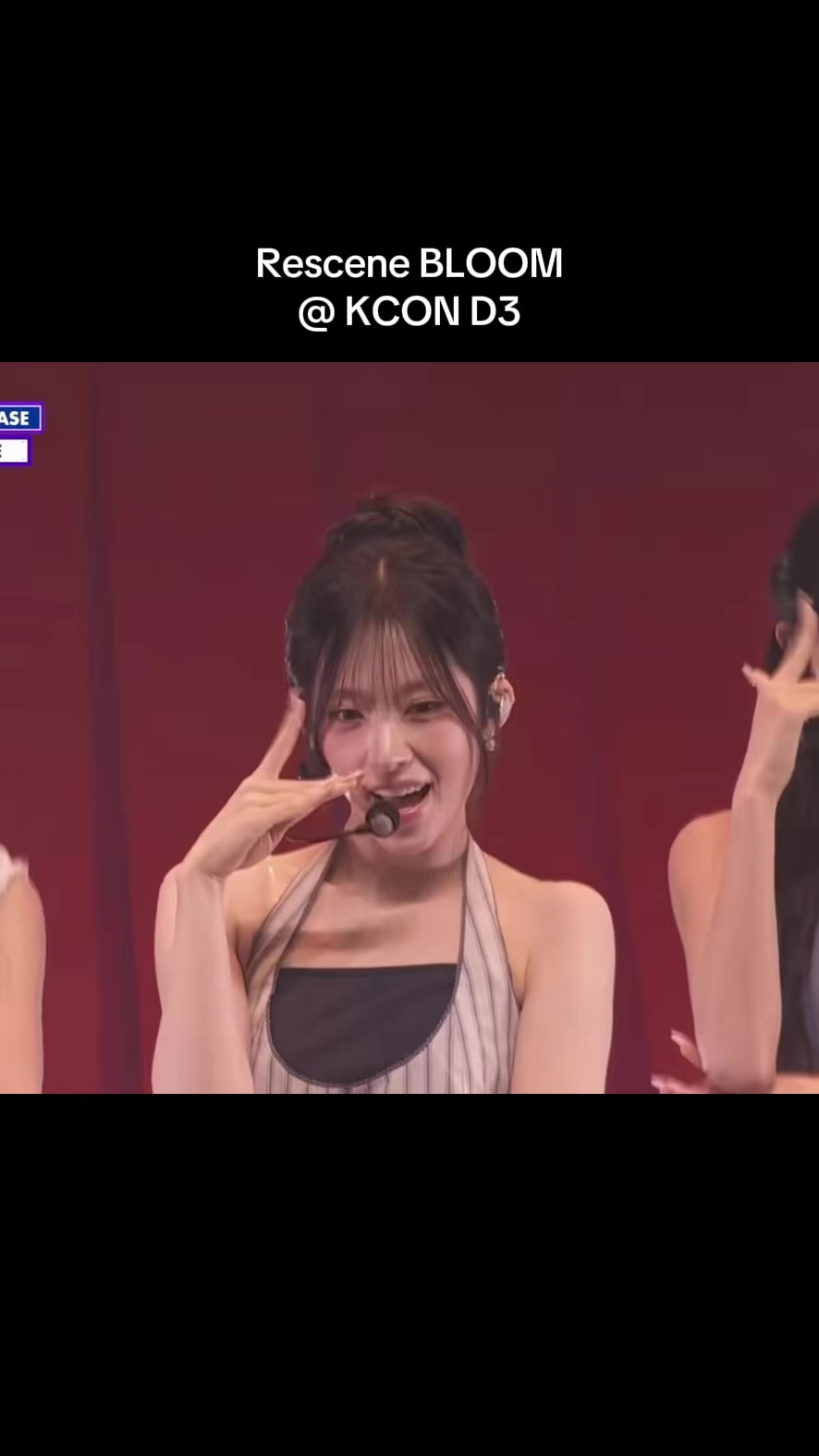 @kc ૮ &ndash; ﻌ&ndash;ა