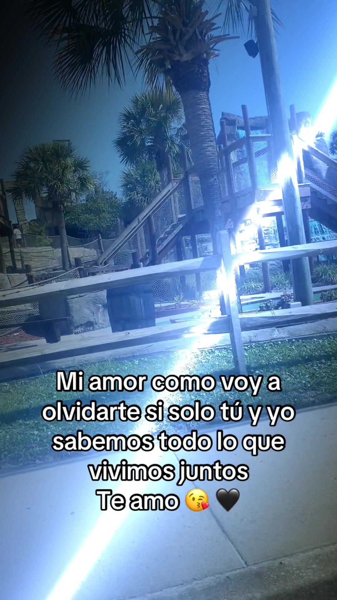 @mary