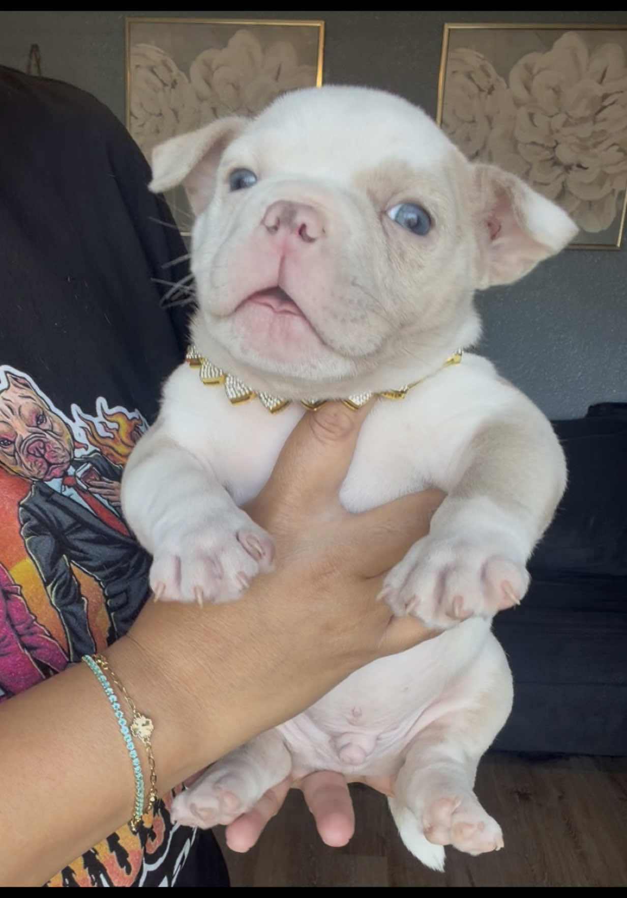 @SGBULLYZ