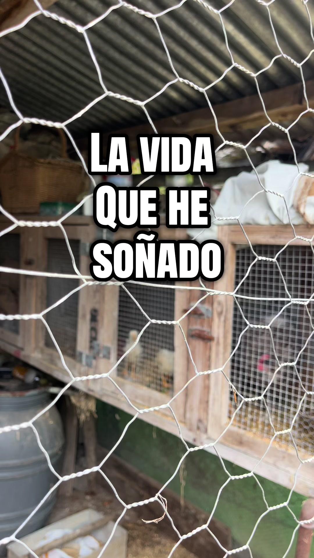 @J TURCIOS