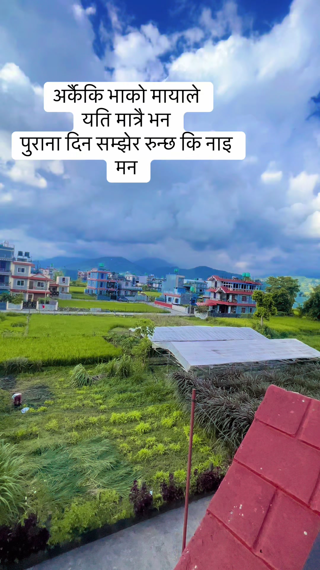@Manisha Thapa