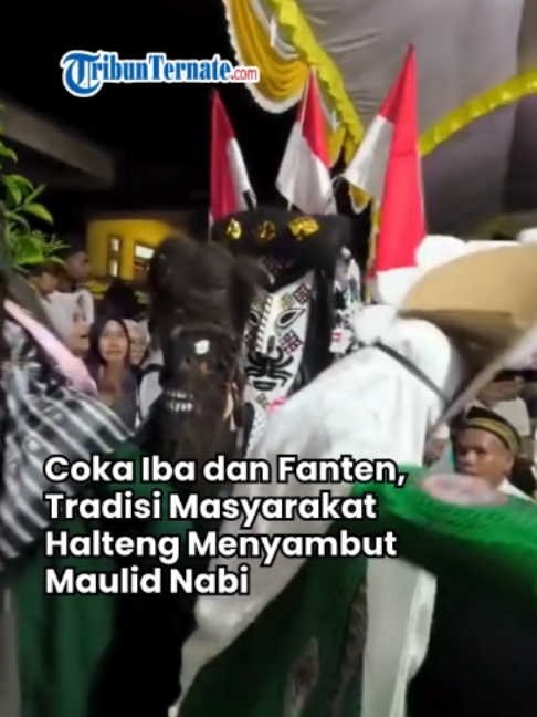 @TribunTernate.com