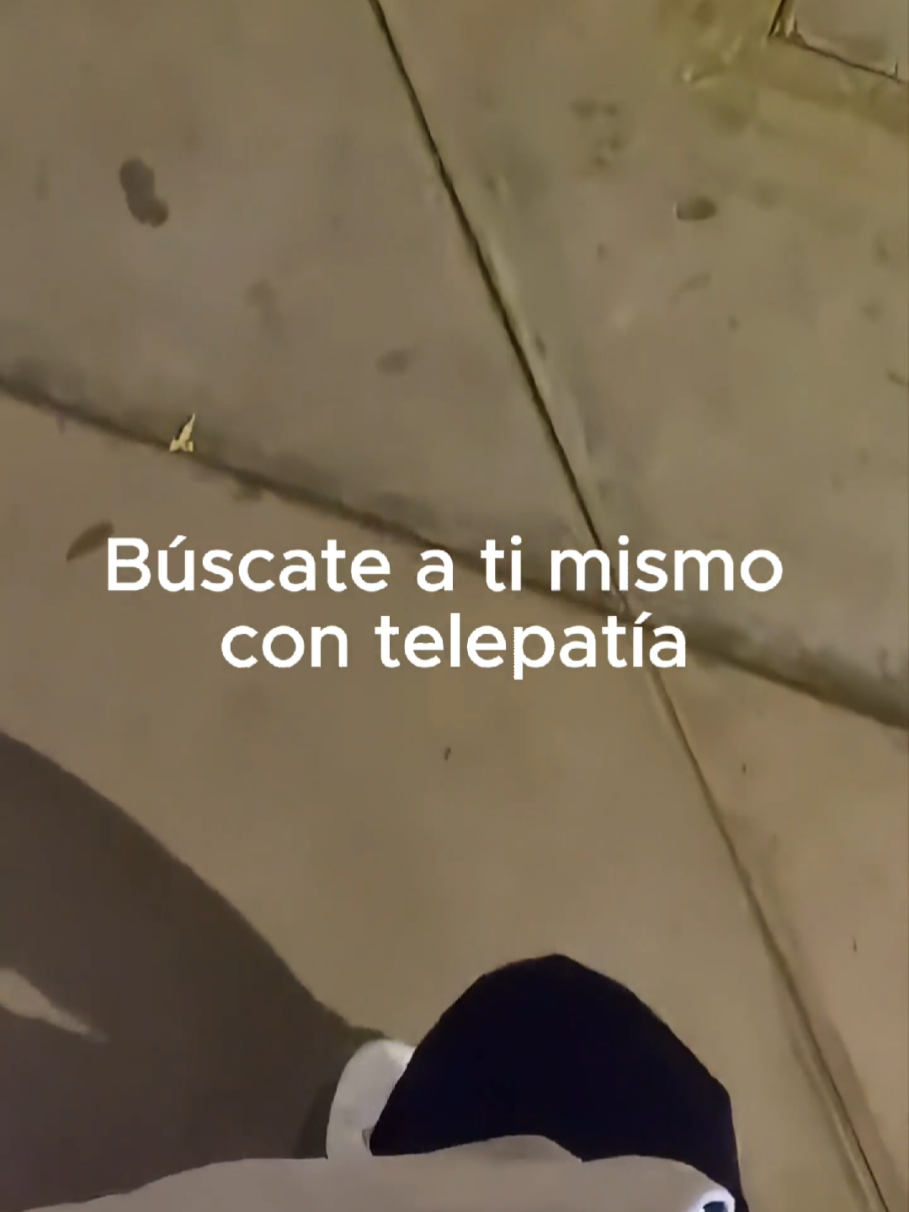 @Tamauta
