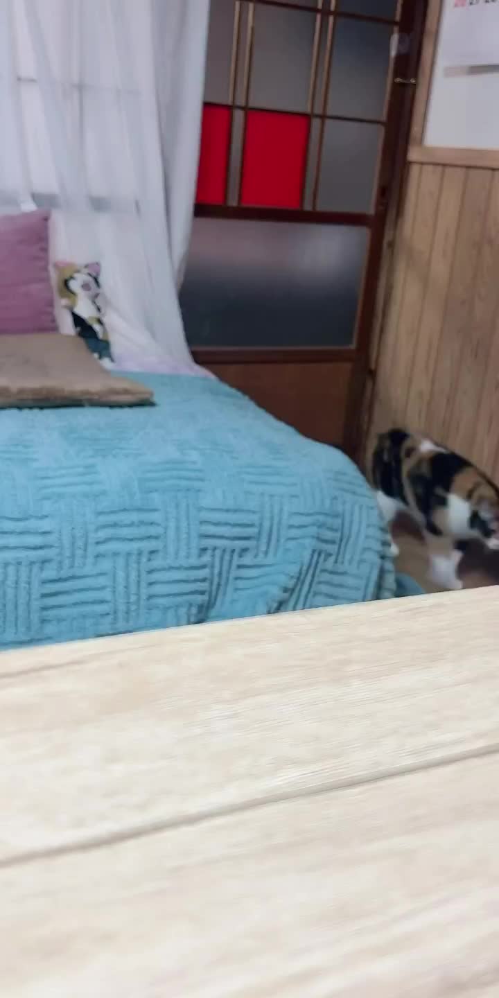 @かあこ