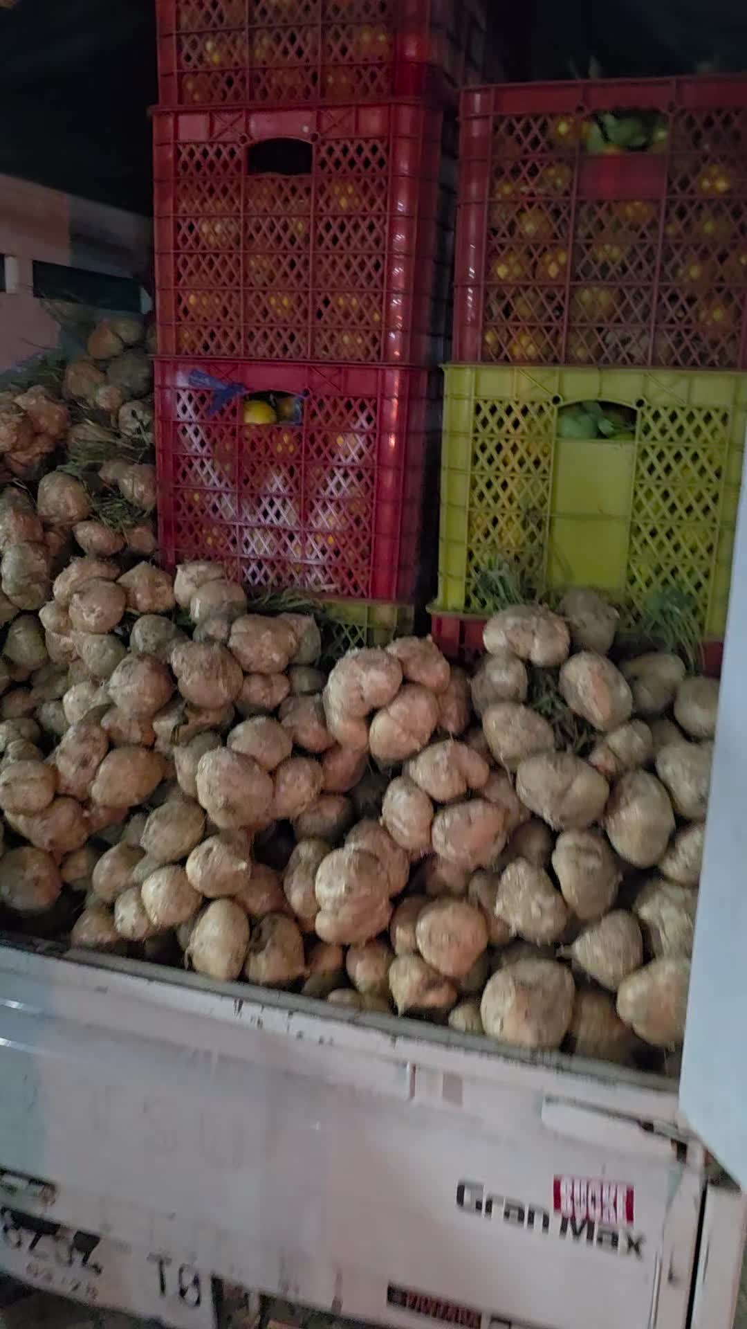 @Viurin Nursery